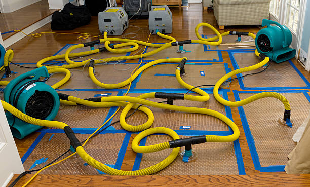 Professional Water Damage Restoration technician working in Iona, MN